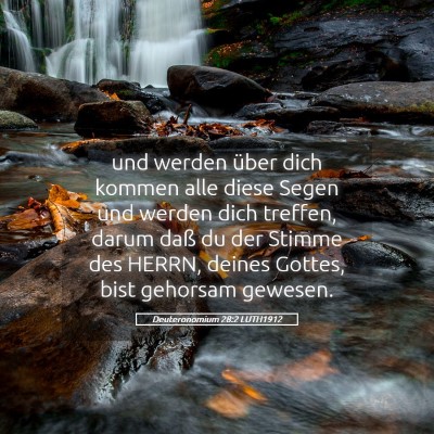 Picture 05 - Deuteronomium 28:2 LUTH1912 - und werden über dich kommen alle diese Segen und - Bible Verse Picture