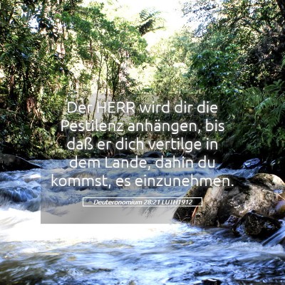 Picture 05 - Deuteronomium 28:21 LUTH1912 - Der HERR wird dir die Pestilenz anhängen, bis - Bible Verse Picture