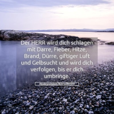Picture 05 - Deuteronomium 28:22 LUTH1912 - Der HERR wird dich schlagen mit Darre, Fieber, - Bible Verse Picture