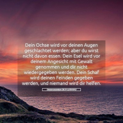Picture 05 - Deuteronomium 28:31 LUTH1912 - Dein Ochse wird vor deinen Augen geschlachtet - Bible Verse Picture
