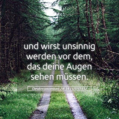 Picture 05 - Deuteronomium 28:34 LUTH1912 - und wirst unsinnig werden vor dem, das deine - Bible Verse Picture