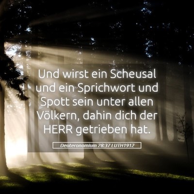Picture 05 - Deuteronomium 28:37 LUTH1912 - Und wirst ein Scheusal und ein Sprichwort und - Bible Verse Picture