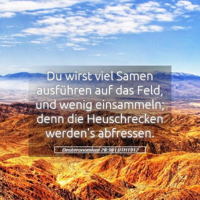 Picture 05 - Deuteronomium 28:38 LUTH1912 - Du wirst viel Samen ausführen auf das Feld, und - Bible Verse Picture