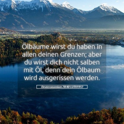 Picture 05 - Deuteronomium 28:40 LUTH1912 - Ölbäume wirst du haben in allen deinen Grenzen; - Bible Verse Picture