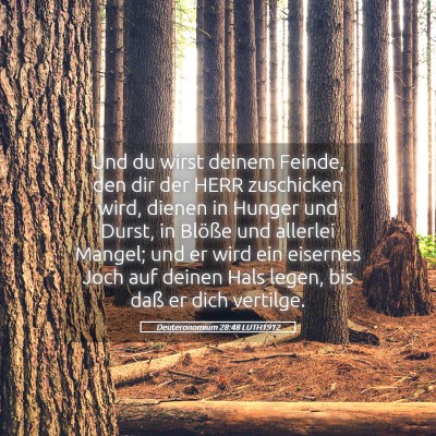 Picture 05 - Deuteronomium 28:48 LUTH1912 - Und du wirst deinem Feinde, den dir der HERR - Bible Verse Picture