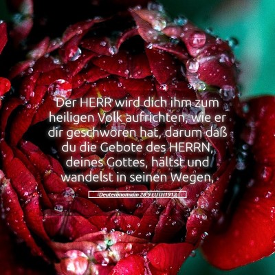 Picture 05 - Deuteronomium 28:9 LUTH1912 - Der HERR wird dich ihm zum heiligen Volk - Bible Verse Picture