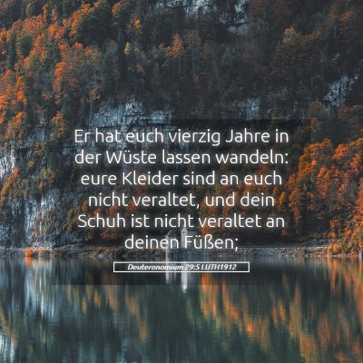 Picture 05 - Deuteronomium 29:5 LUTH1912 - Er hat euch vierzig Jahre in der Wüste lassen - Bible Verse Picture