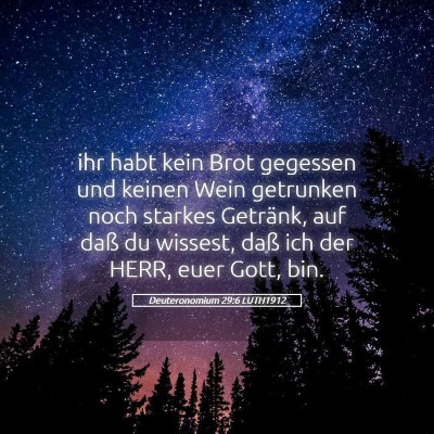 Picture 05 - Deuteronomium 29:6 LUTH1912 - ihr habt kein Brot gegessen und keinen Wein - Bible Verse Picture