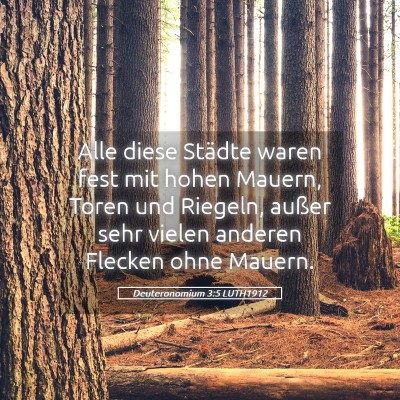 Picture 05 - Deuteronomium 3:5 LUTH1912 - Alle diese Städte waren fest mit hohen Mauern, - Bible Verse Picture