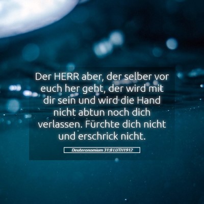 Picture 05 - Deuteronomium 31:8 LUTH1912 - Der HERR aber, der selber vor euch her geht, der - Bible Verse Picture
