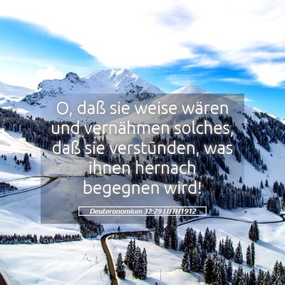 Picture 05 - Deuteronomium 32:29 LUTH1912 - O, daß sie weise wären und vernähmen solches, - Bible Verse Picture