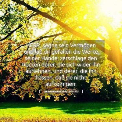 Picture 05 - Deuteronomium 33:11 LUTH1912 - HERR, segne sein Vermögen und laß dir gefallen - Bible Verse Picture