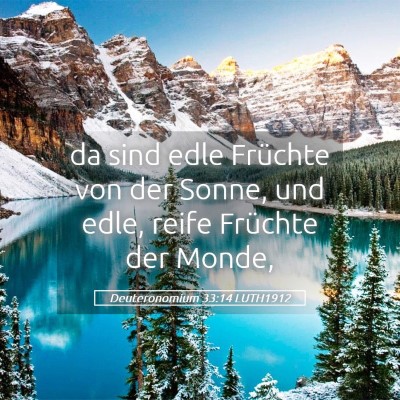 Picture 05 - Deuteronomium 33:14 LUTH1912 - da sind edle Früchte von der Sonne, und edle, - Bible Verse Picture