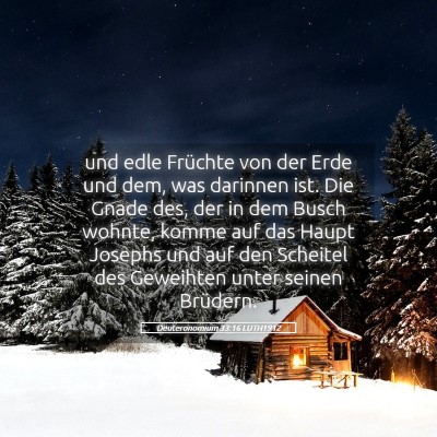 Picture 05 - Deuteronomium 33:16 LUTH1912 - und edle Früchte von der Erde und dem, was - Bible Verse Picture