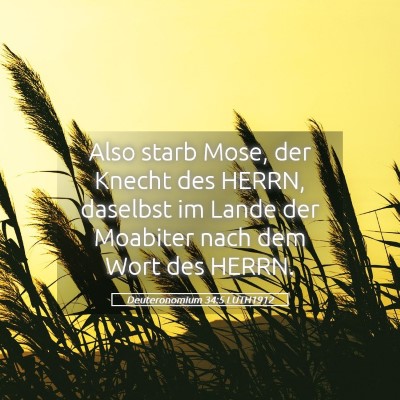 Picture 05 - Deuteronomium 34:5 LUTH1912 - Also starb Mose, der Knecht des HERRN, daselbst - Bible Verse Picture