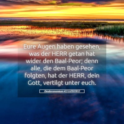 Picture 05 - Deuteronomium 4:3 LUTH1912 - Eure Augen haben gesehen, was der HERR getan hat - Bible Verse Picture