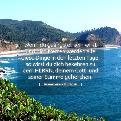 Picture 05 - Deuteronomium 4:30 LUTH1912 - Wenn du geängstet sein wirst und dich treffen - Bible Verse Picture