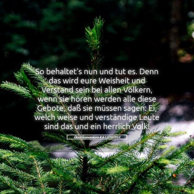 Picture 05 - Deuteronomium 4:6 LUTH1912 - So behaltet's nun und tut es. Denn das wird eure - Bible Verse Picture