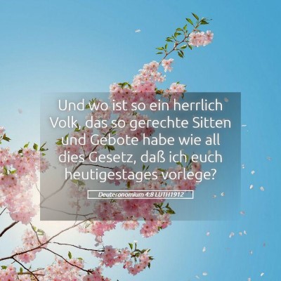 Picture 05 - Deuteronomium 4:8 LUTH1912 - Und wo ist so ein herrlich Volk, das so gerechte - Bible Verse Picture