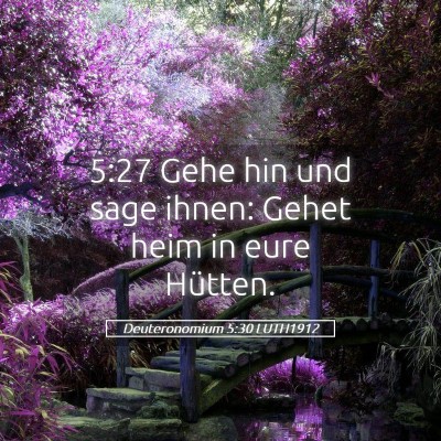 Picture 05 - Deuteronomium 5:30 LUTH1912 - 5:27 Gehe hin und sage ihnen: Gehet heim in eure - Bible Verse Picture