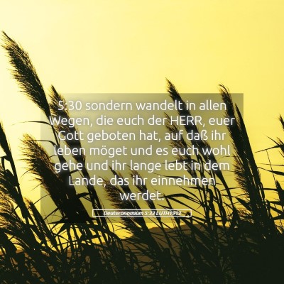 Picture 05 - Deuteronomium 5:33 LUTH1912 - 5:30 sondern wandelt in allen Wegen, die euch der - Bible Verse Picture