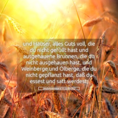 Picture 05 - Deuteronomium 6:11 LUTH1912 - und Häuser, alles Guts voll, die du nicht - Bible Verse Picture