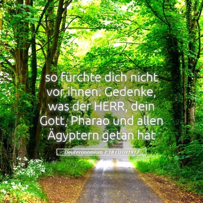 Picture 05 - Deuteronomium 7:18 LUTH1912 - so fürchte dich nicht vor ihnen. Gedenke, was - Bible Verse Picture