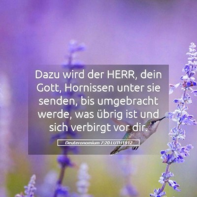 Picture 05 - Deuteronomium 7:20 LUTH1912 - Dazu wird der HERR, dein Gott, Hornissen unter - Bible Verse Picture