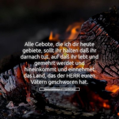 Picture 05 - Deuteronomium 8:1 LUTH1912 - Alle Gebote, die ich dir heute gebiete, sollt ihr - Bible Verse Picture