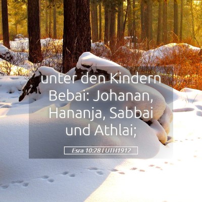 Picture 05 - Esra 10:28 LUTH1912 - unter den Kindern Bebai: Johanan, Hananja, Sabbai - Bible Verse Picture