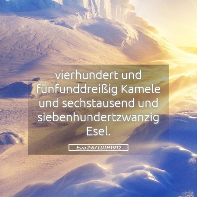 Picture 05 - Esra 2:67 LUTH1912 - vierhundert und fünfunddreißig Kamele und - Bible Verse Picture