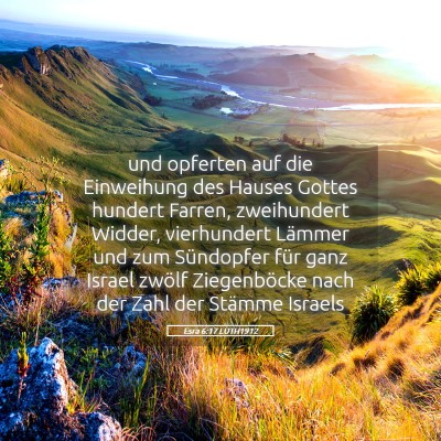 Picture 05 - Esra 6:17 LUTH1912 - und opferten auf die Einweihung des Hauses Gottes - Bible Verse Picture