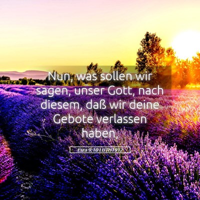 Picture 05 - Esra 9:10 LUTH1912 - Nun, was sollen wir sagen, unser Gott, nach - Bible Verse Picture