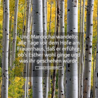 Picture 05 - Ester 2:11 LUTH1912 - Und Mardochai wandelte alle Tage vor dem Hofe am - Bible Verse Picture