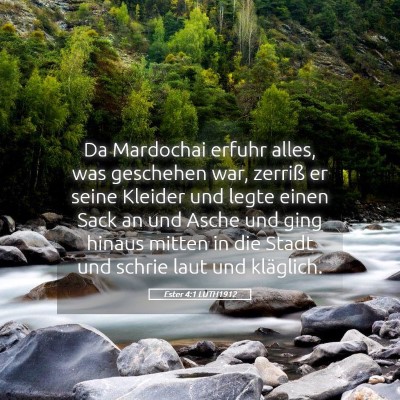 Picture 05 - Ester 4:1 LUTH1912 - Da Mardochai erfuhr alles, was geschehen war, - Bible Verse Picture