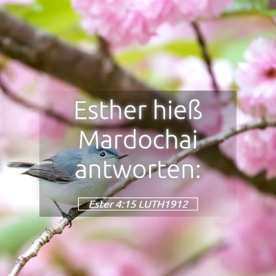 Picture 05 - Ester 4:15 LUTH1912 - Esther hieß Mardochai - Bible Verse Picture