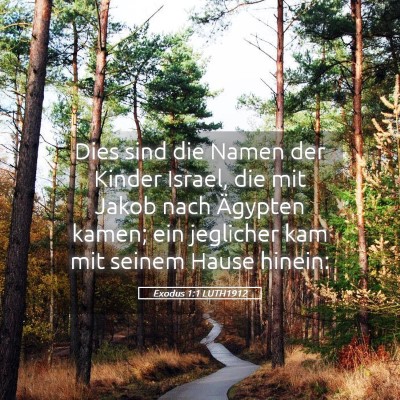 Picture 05 - Exodus 1:1 LUTH1912 - Dies sind die Namen der Kinder Israel, die mit - Bible Verse Picture