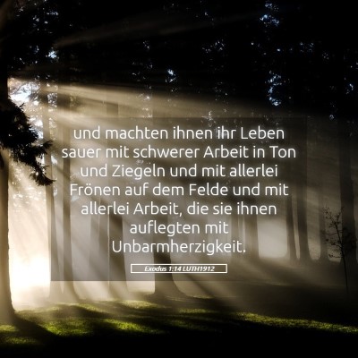 Picture 05 - Exodus 1:14 LUTH1912 - und machten ihnen ihr Leben sauer mit schwerer - Bible Verse Picture