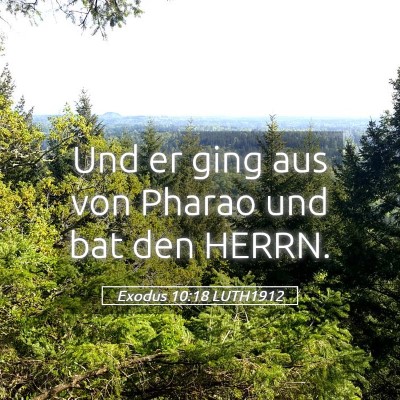 Picture 05 - Exodus 10:18 LUTH1912 - Und er ging aus von Pharao und bat den - Bible Verse Picture
