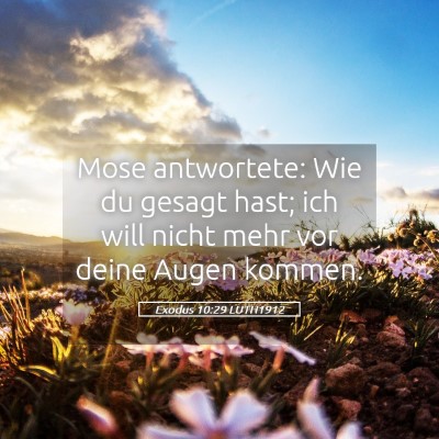 Picture 05 - Exodus 10:29 LUTH1912 - Mose antwortete: Wie du gesagt hast; ich will - Bible Verse Picture