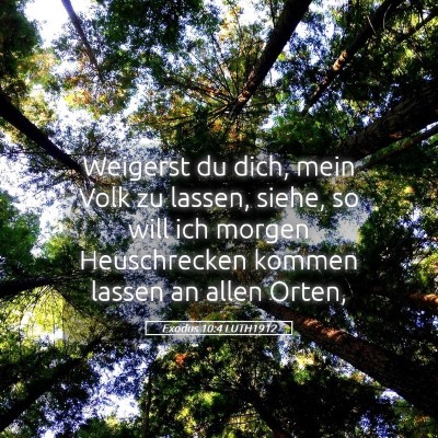 Picture 05 - Exodus 10:4 LUTH1912 - Weigerst du dich, mein Volk zu lassen, siehe, so - Bible Verse Picture