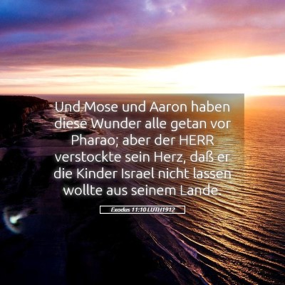 Picture 05 - Exodus 11:10 LUTH1912 - Und Mose und Aaron haben diese Wunder alle getan - Bible Verse Picture