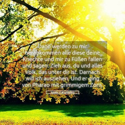 Picture 05 - Exodus 11:8 LUTH1912 - Dann werden zu mir herabkommen alle diese deine - Bible Verse Picture