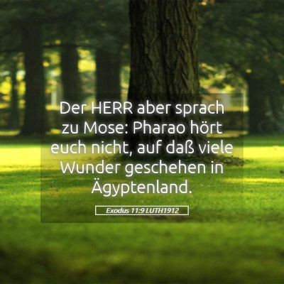 Picture 05 - Exodus 11:9 LUTH1912 - Der HERR aber sprach zu Mose: Pharao hört euch - Bible Verse Picture