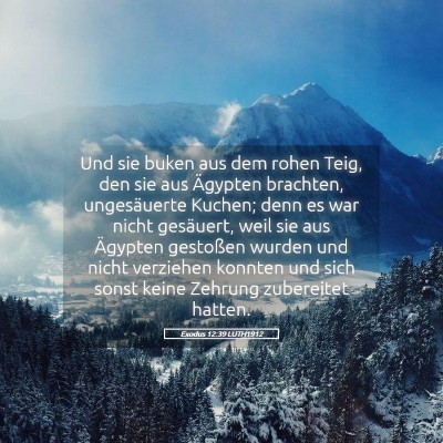 Picture 05 - Exodus 12:39 LUTH1912 - Und sie buken aus dem rohen Teig, den sie aus - Bible Verse Picture