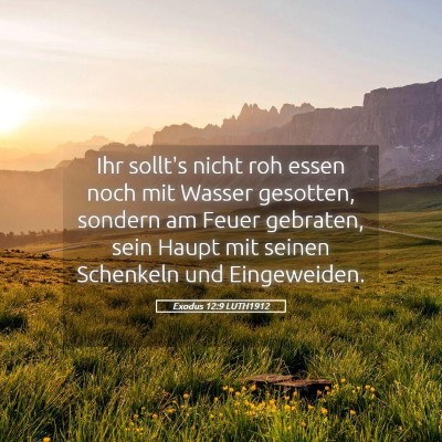 Picture 05 - Exodus 12:9 LUTH1912 - Ihr sollt's nicht roh essen noch mit Wasser - Bible Verse Picture