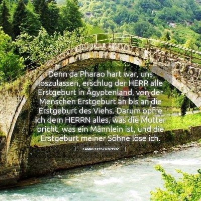 Picture 05 - Exodus 13:15 LUTH1912 - Denn da Pharao hart war, uns loszulassen, - Bible Verse Picture