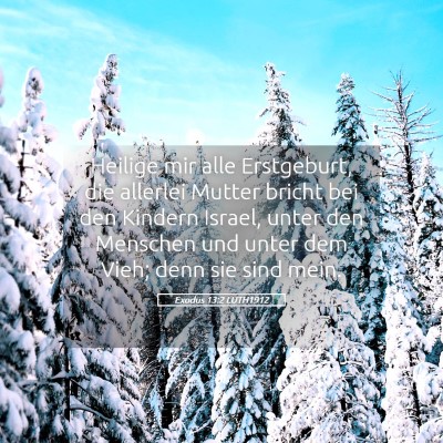Picture 05 - Exodus 13:2 LUTH1912 - Heilige mir alle Erstgeburt, die allerlei Mutter - Bible Verse Picture