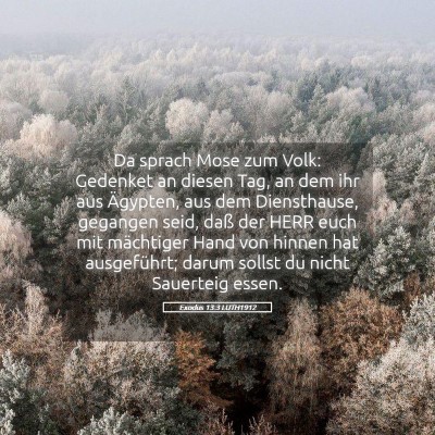 Picture 05 - Exodus 13:3 LUTH1912 - Da sprach Mose zum Volk: Gedenket an diesen Tag, - Bible Verse Picture