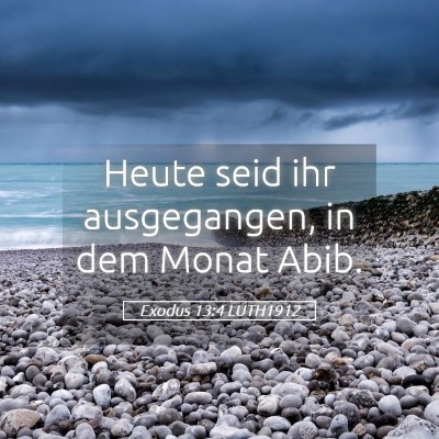 Picture 05 - Exodus 13:4 LUTH1912 - Heute seid ihr ausgegangen, in dem Monat - Bible Verse Picture